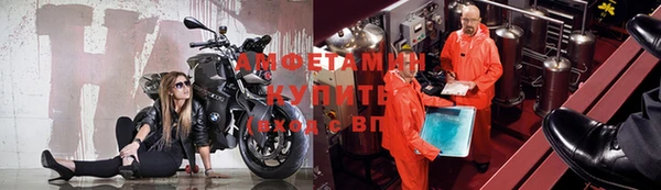 сатива Гусев