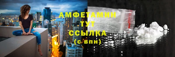 гидра Гусь-Хрустальный