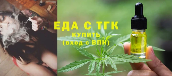 гидра Гусь-Хрустальный