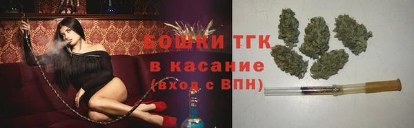 сатива Гусев