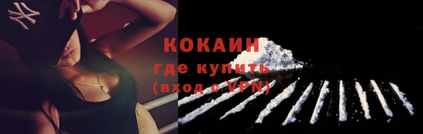 гидра Гусь-Хрустальный