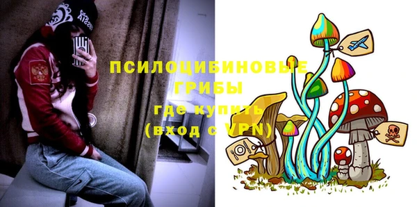 сатива Гусев