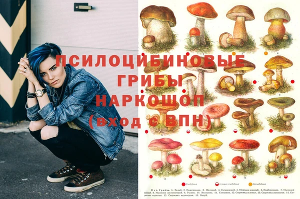 сатива Гусев