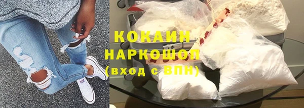 сатива Гусев