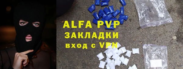 сатива Гусев