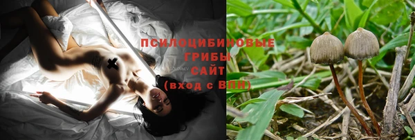 гидра Гусь-Хрустальный