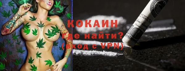 гидра Гусь-Хрустальный