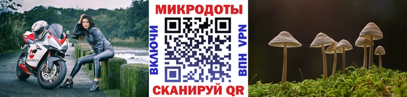 Псилоцибиновые грибы мухоморы  Елабуга 