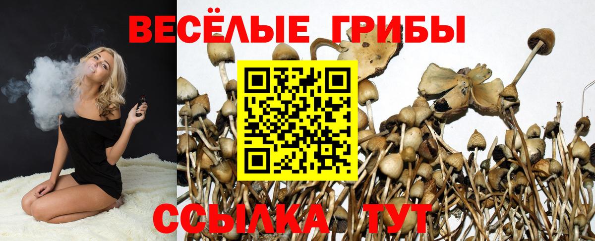 Галлюциногенные грибы мицелий Елабуга