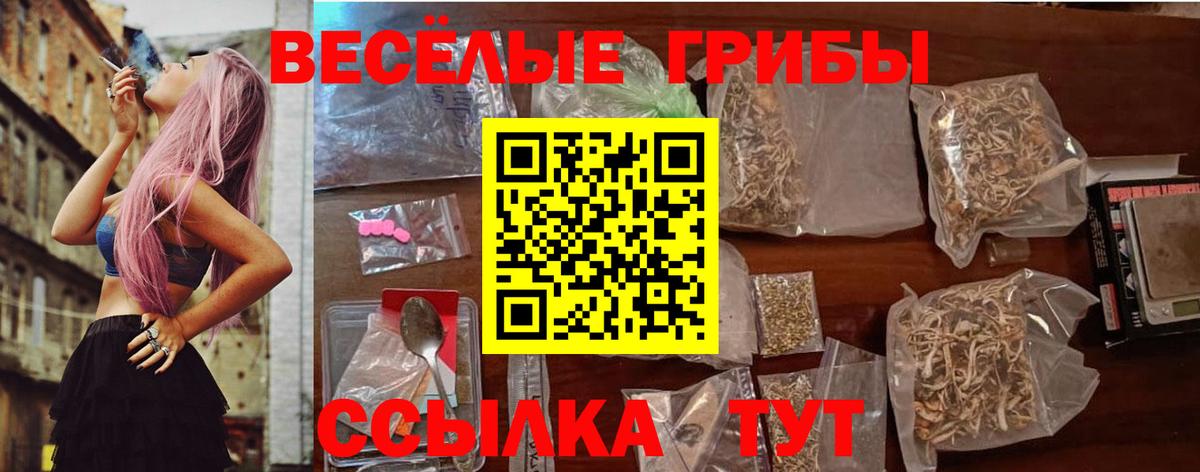 сколько стоит  Вход с VPN  Елабуга  Псилоцибиновые грибы GOLDEN TEACHER  Псилоцибиновые грибы ЛСД 